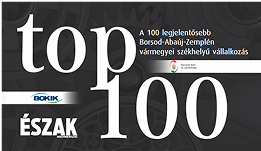 TOP100 logo